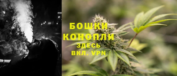 шишки Нея