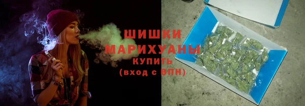 шишки Нея