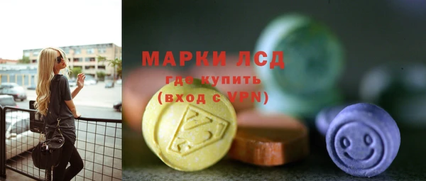 шишки Нея