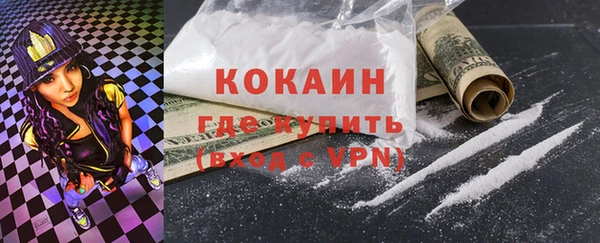 шишки Нея