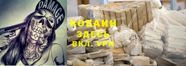 шишки Нея