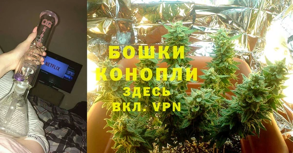 шишки Нея