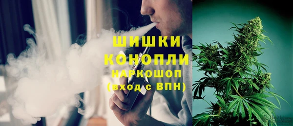 шишки Нея