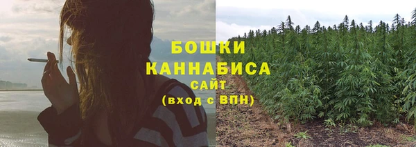 шишки Нея