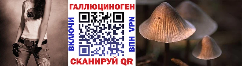 Купить  Наро-Фоминск  Галлюциногенные грибы Cubensis 